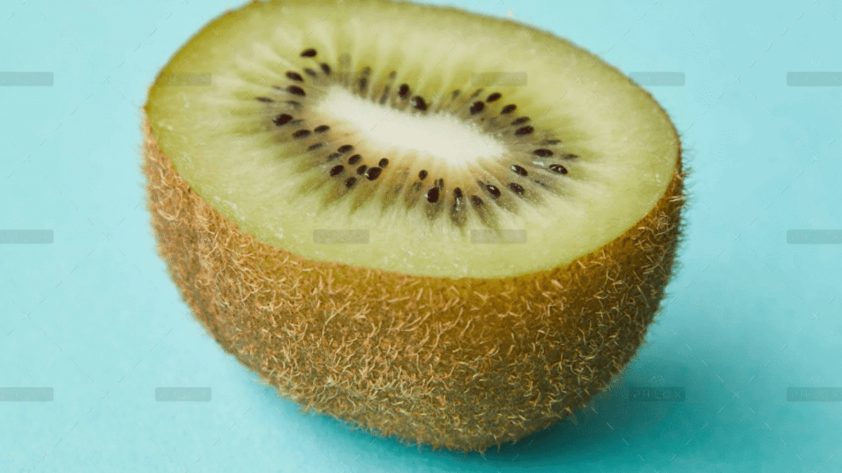 demo-attachment-614-Rectangle-12