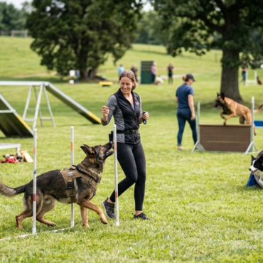 Advanced Dog Training A Complete Guide to Taking Your Dog’s Skills to the Next Level