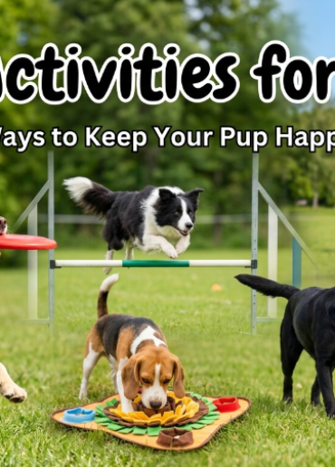Fun Activities