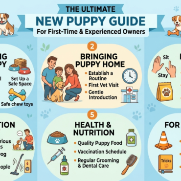 Puppies